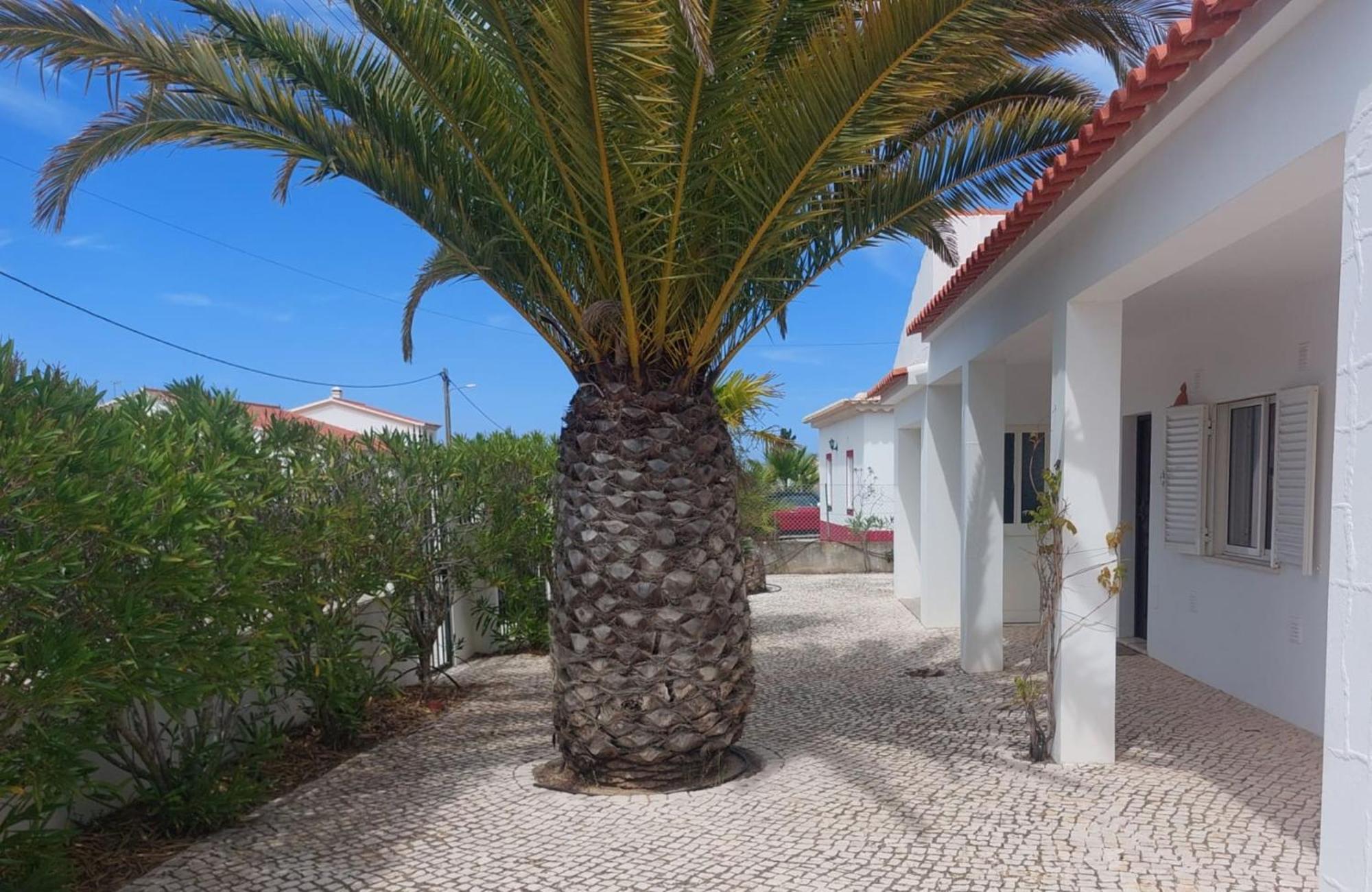 Casa Flora - Vale Da Telha - Nature - Surf & Sun * Aljezur